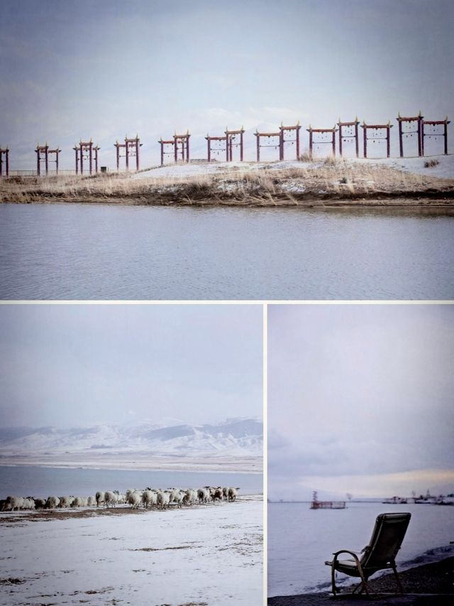 藍冰季限定預告！還有這裡可以免費直達