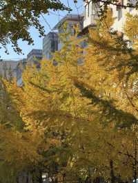 解鎖不撞款的暖冬浪漫