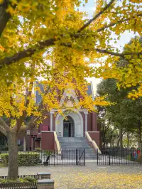 12.02實拍｜上海銀杏教堂已封神，可參觀