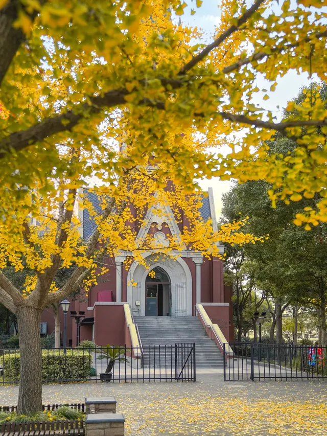 12.02實拍｜上海銀杏教堂已封神，可參觀