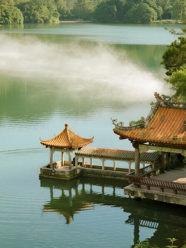 肇慶鼎湖山冬日仙境！親子避暑+吸氧攻略～