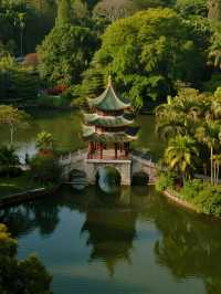 南寧青秀山冬日躺玩!親子打卡絕美雪景機位~