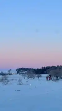 不是新疆去不起！烏蘭布統冬日秘境太香了~
