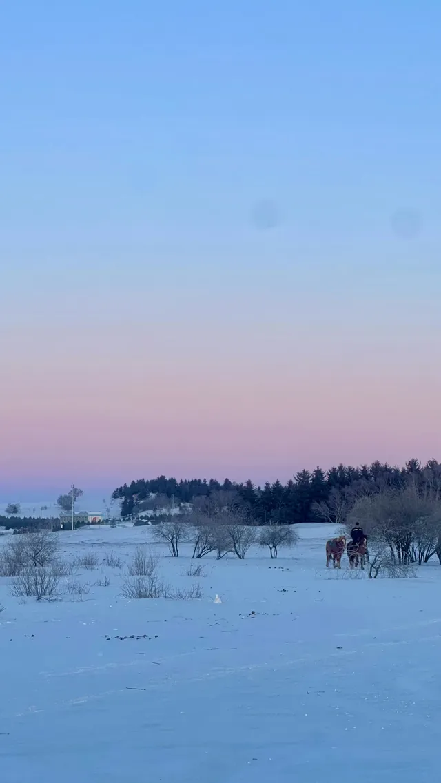 不是新疆去不起！烏蘭布統冬日秘境太香了~