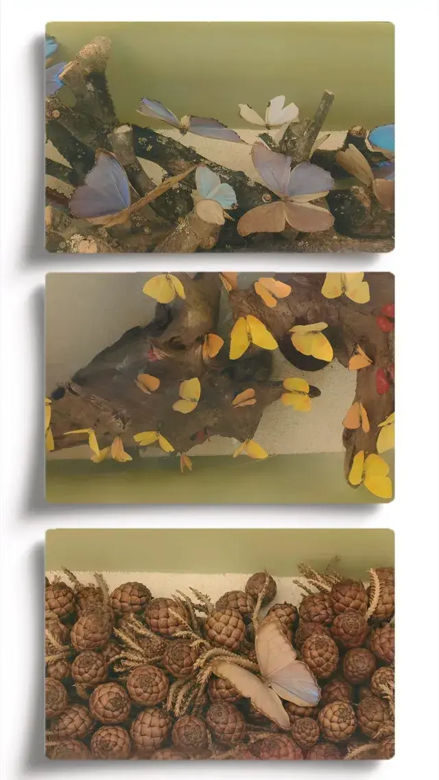 探索上海溫室花園的綠意秘境 