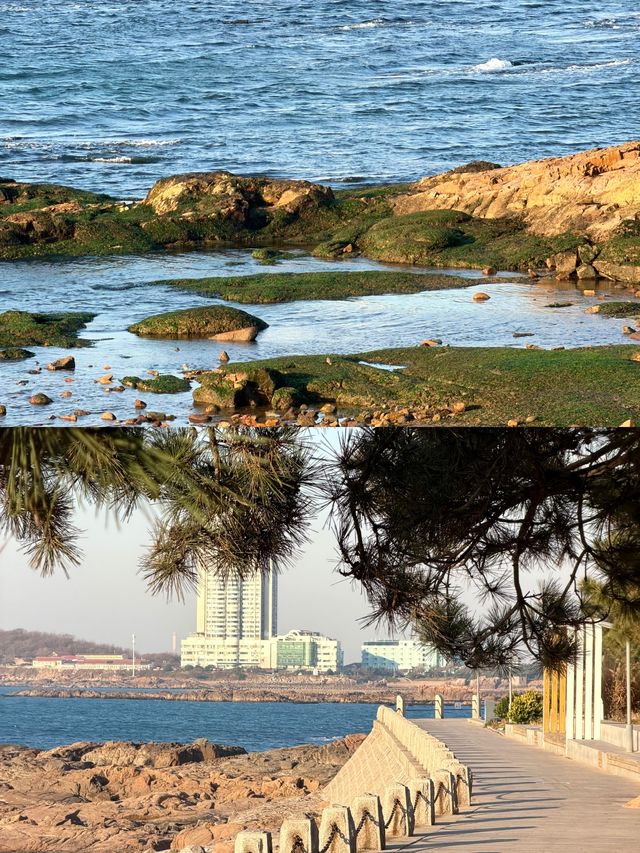 冬日青島Seawalk天花板!這條路線讓你承包整片克萊因藍 冬日青島Seawalk天花板!這條路線讓你承包整片克萊因藍