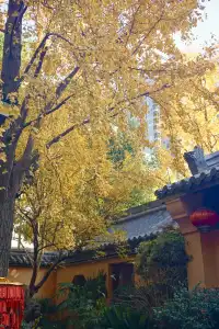 12.6 湖州秋景city walk路線