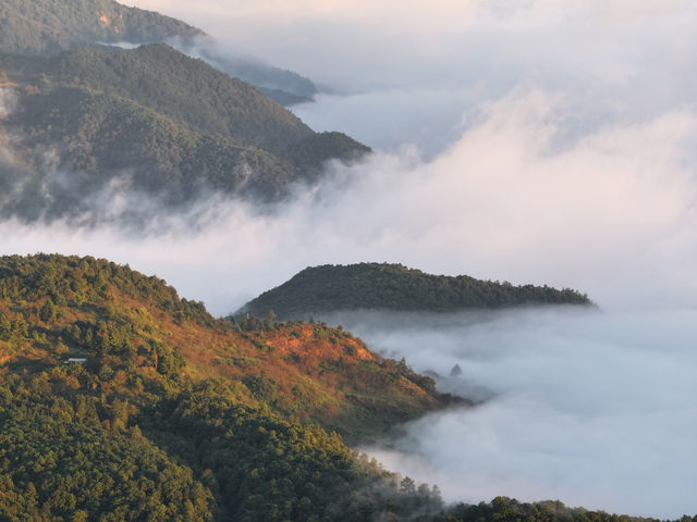 宮崎駿同款天空之城!我在哀牢山找到了神仙民宿 宮崎駿同款天空之城!我在哀牢山找到了神仙民宿