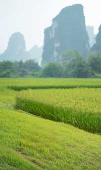 緊急攻略!去廣西前,請先下載這個「地圖外掛」!