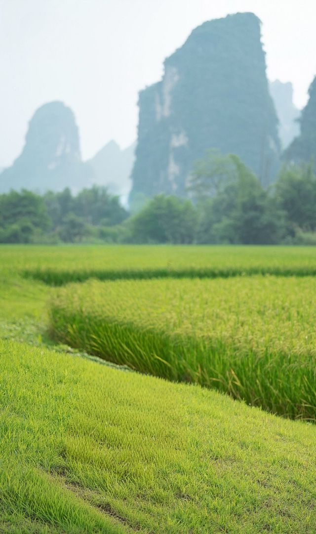 緊急攻略!去廣西前,請先下載這個「地圖外掛」! 緊急攻略!去廣西前,請先下載這個「地圖外掛」!