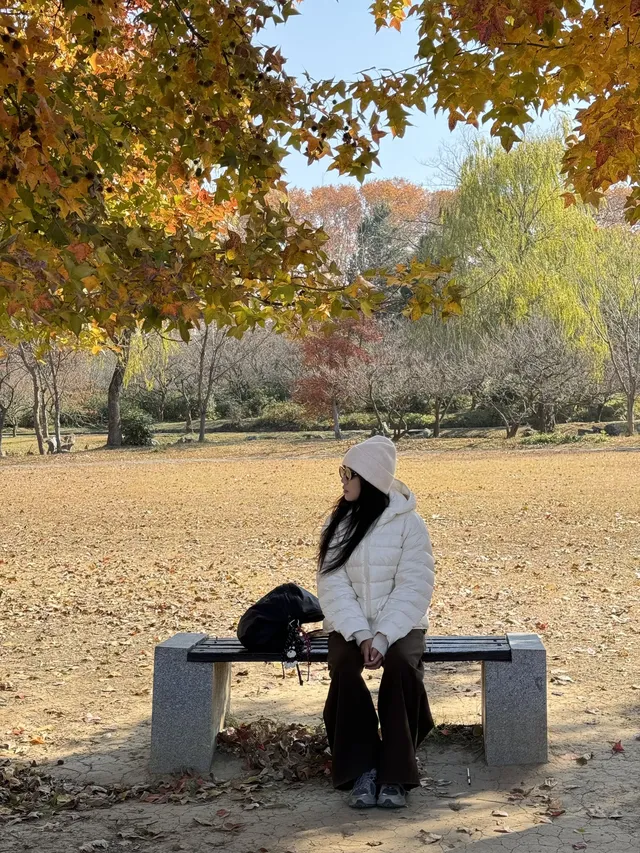 鐘山風景區精華指南含無人版梧桐大道 鐘山風景區精華指南含無人版梧桐大道