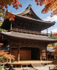 12月14日日本受罪已回,說點難聽的大實話