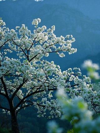 Hanyuan Pulu Art Family Fun Explosion!