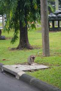 免簽速衝！週末不請假2日曼谷旅行路線