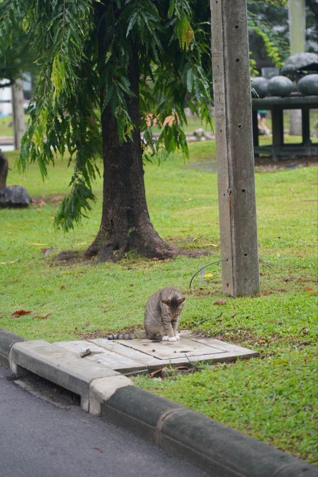 免簽速衝！週末不請假2日曼谷旅行路線
