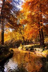 魔都賞秋封神路線!0元拍出大片感