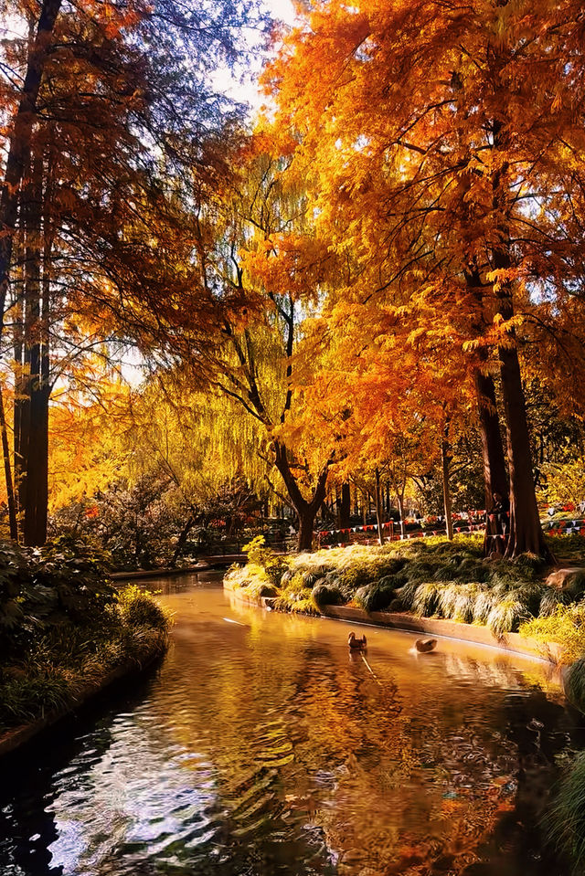 魔都賞秋封神路線!0元拍出大片感 魔都賞秋封神路線!0元拍出大片感