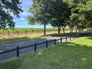 ช่วงเวลาที่งดงามในสวนองุ่น