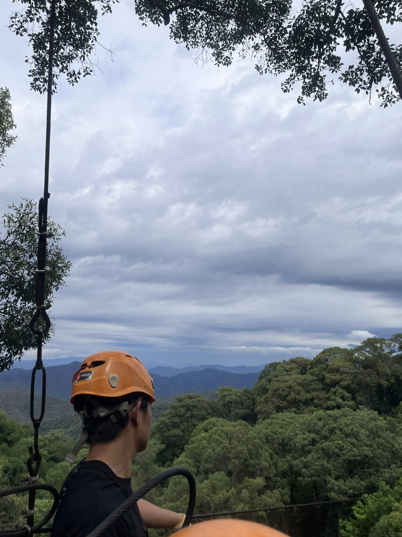 Jungle Zipline Fun 🏞️