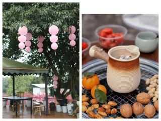 Here is the complete practical guide to Nanchong Jialing District Datong Town Onion Peach Blossom Island (Maganba Village Group 2, Tianyuan Siyu Farm). Basic Information 