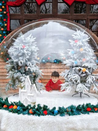 Open throughout the Spring Festival! This coffee shop in Moganshan is so relaxing!