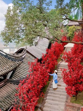 Hidden within an hour of Chengdu is a true martial arts world.