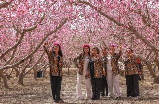 This holiday, come to Xinjiang to unlock more springtime beauty