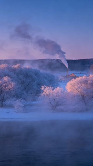 The frost was wrapped in ice; a fist couldn't break through this white expanse.