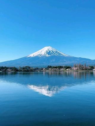  . From Tokyo to Fujikawaguchiko, this one-day private car charter covers the most classic Mt. Fuji hotspots! Forget the hassle of transfers, catch every golden hour for photos, and cruise between attractions on the most efficient route. From cherry blossom-lined lakes to snow-melt springs, sky-high walkways, and unforgettable Mt. Fuji views—it’s 100% stress-free. The ultimate choice for laid-back travelers and beginners looking to snap viral-worthy shots for their social media feeds.