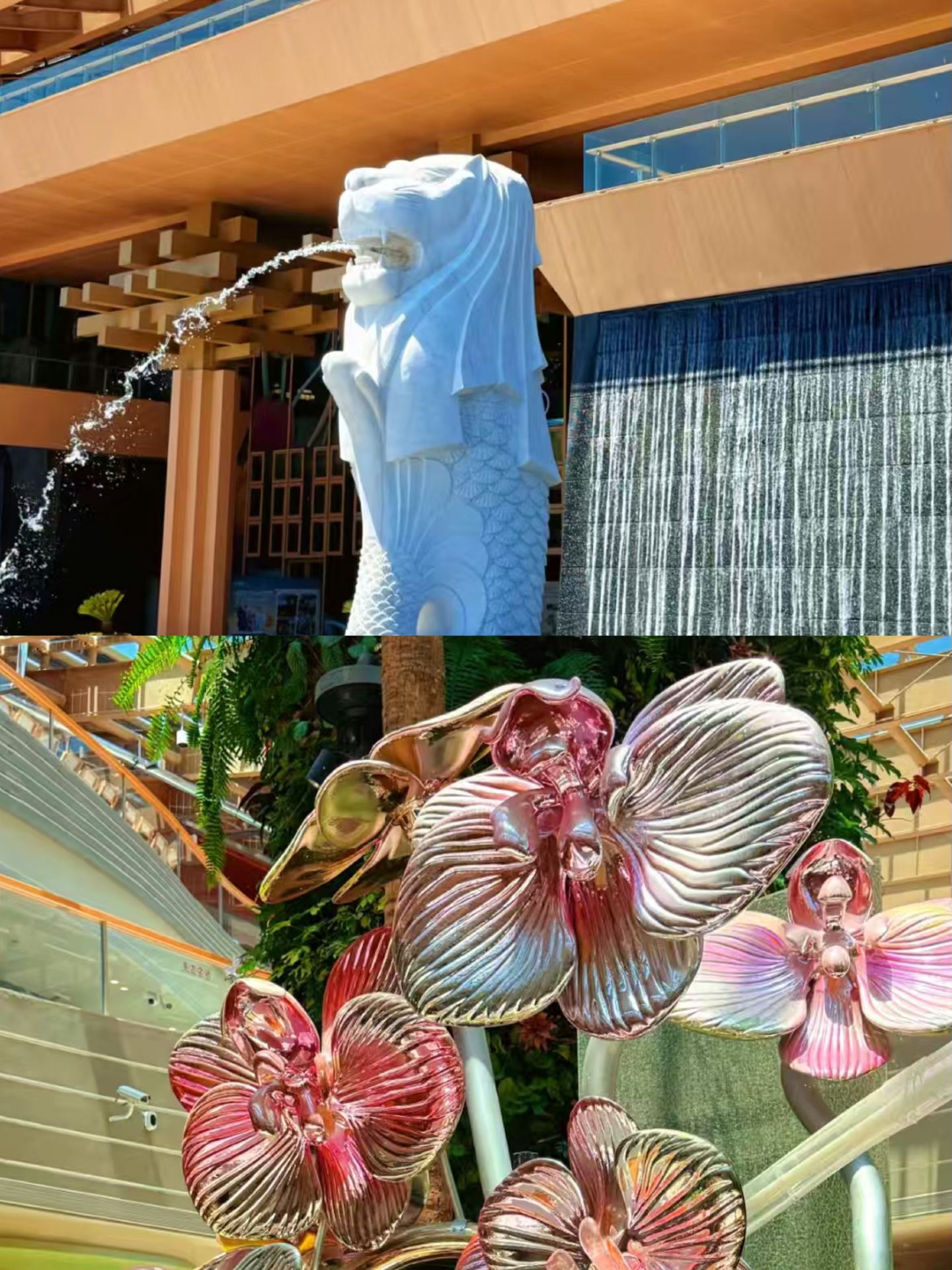 Tế Nam rất đẹp, nhưng tôi sẽ không bao giờ quay lại đó nữa.