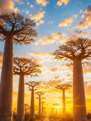Summer 10-day Madagascar tour guide is a must-have