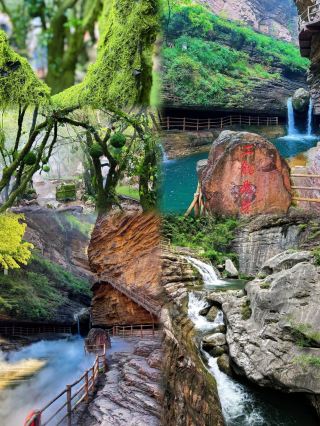 Henan summer cool spots suitable for kids to play in water four refreshing hidden gems