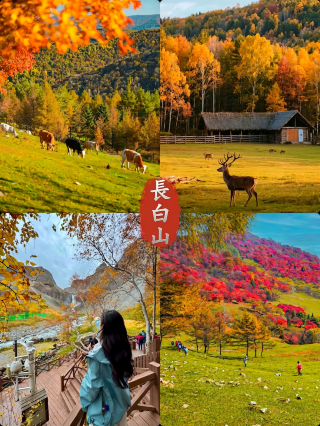長白秋序｜棲居森居·山水閣，靜賞層林山色