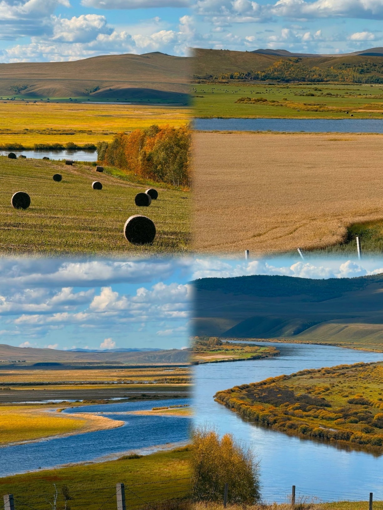 Just back from Hulunbuir and it was a struggle—I really don't recommend coming in September–October because it's just too…