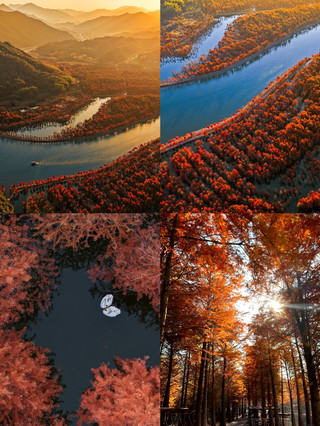 1-hour high-speed train ride | A hidden autumn gem in southern Anhui that rivals Kanas