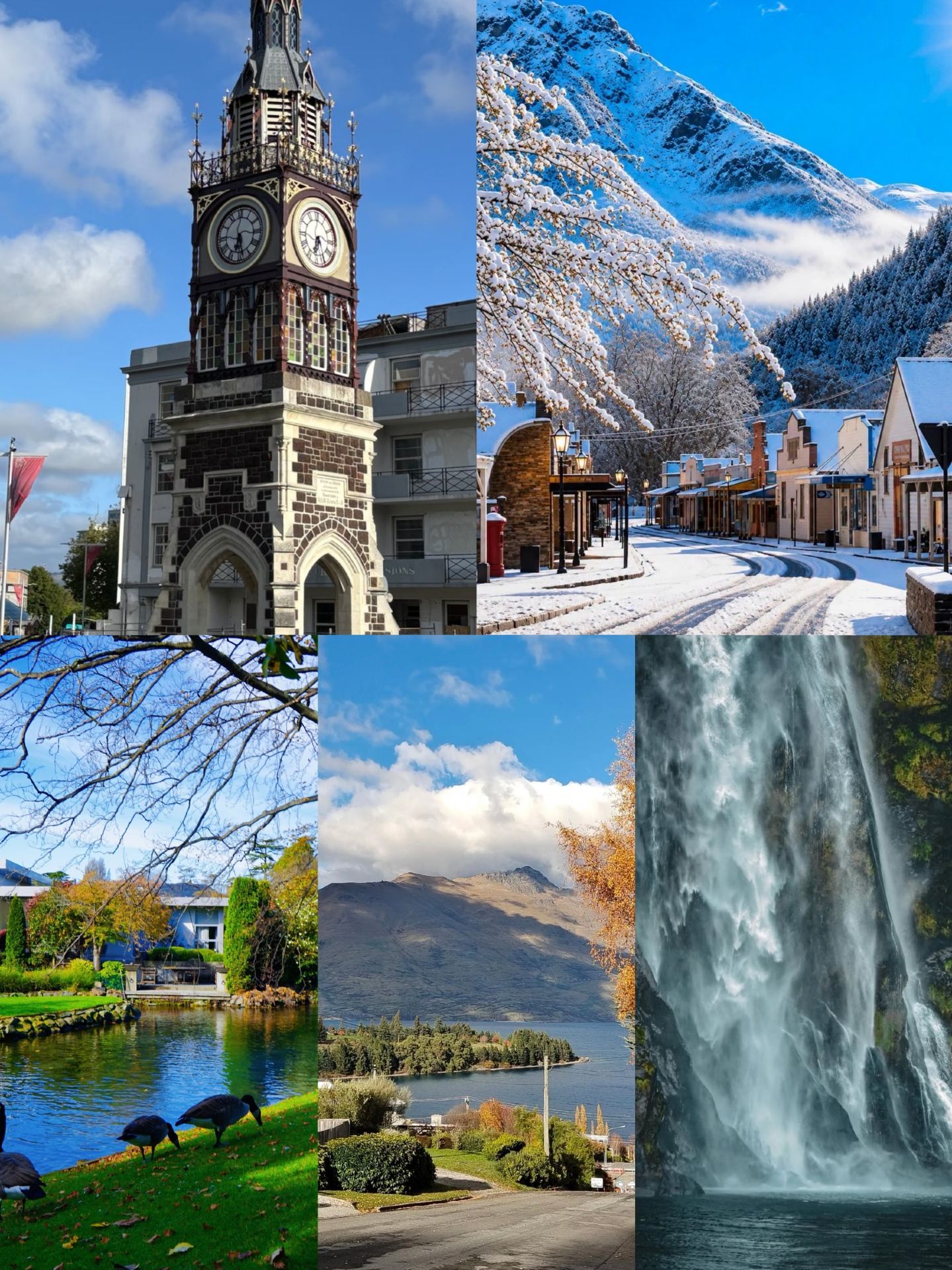 Everyone says New Zealand is so expensive you have to save for ages to go   I went on a 7-day, 6-night trip around the South Island and after doing the math I found that it is indeed expensive, but