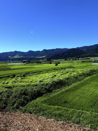 Master your 5-day Japan trip with this detailed guide! Save this now