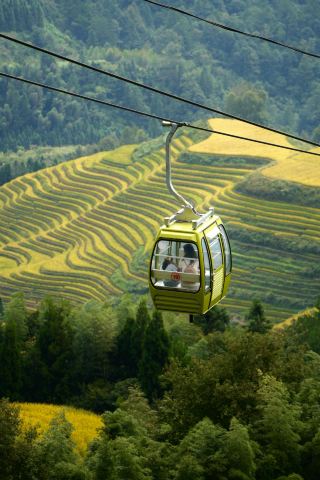 Enjoy autumn scenery, explore the countryside, and find tranquility—come visit for the Mid-Autumn Festival and National Day! 