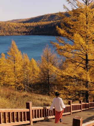 Still dreaming of autumn in Hulunbuir