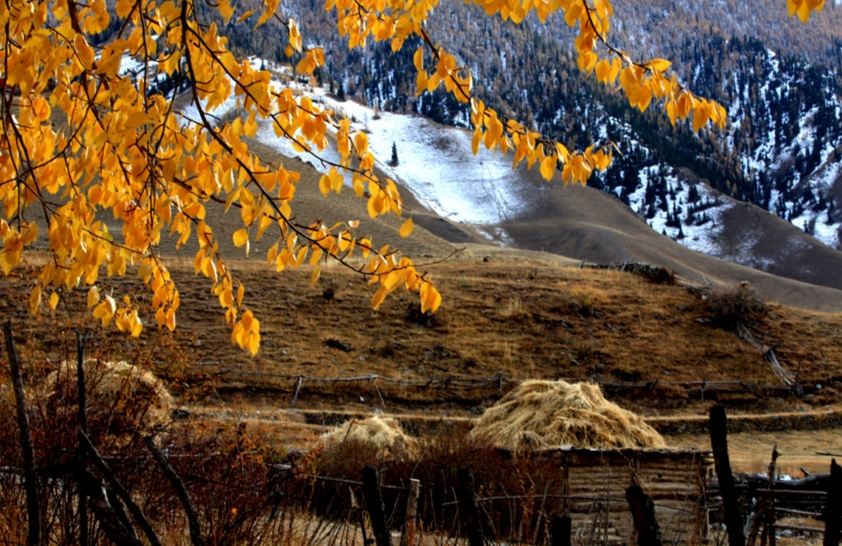 Hami, Xinjiang: The ultimate autumn destination! A hidden desert gem with few crowds, stunning scenery, and great value