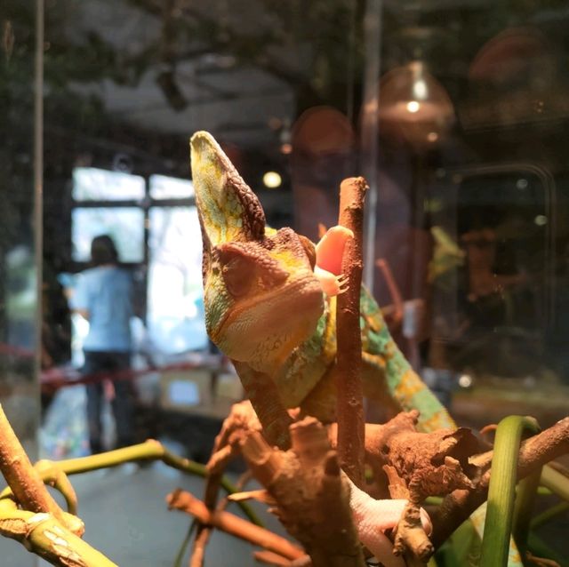 新竹昆蟲館