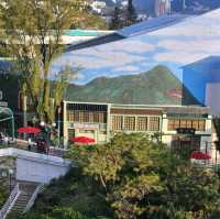 港島南區過年兩日一夜之旅