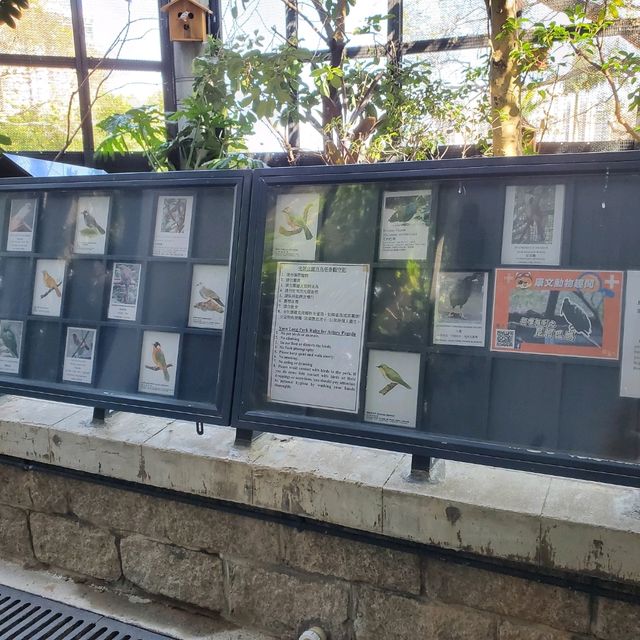 新年好去處之步步高陞。元朗公園百鳥塔