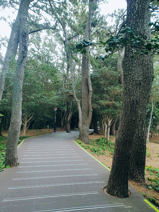 동백섬 오동도 💐