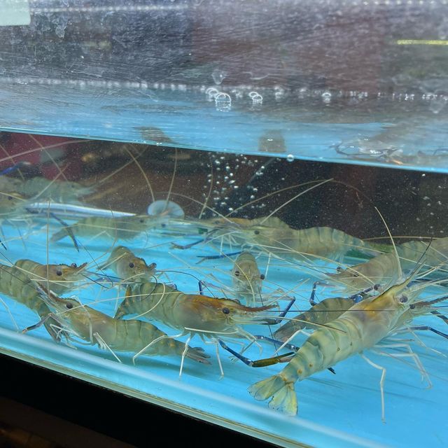 新鮮流水蝦～放題