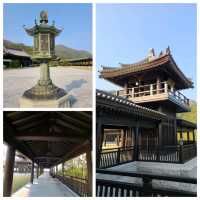 期間限定:賞許願藤🪻@慈山寺