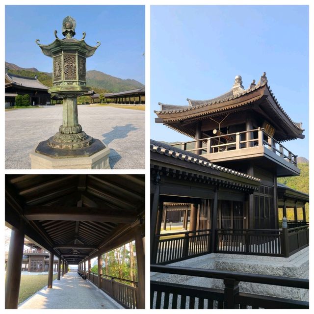 期間限定:賞許願藤🪻@慈山寺