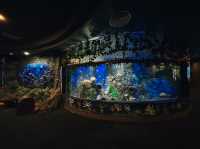 ท่องเที่ยวกับโลกใต้ท้องทะเล Underwater World ญาจาง