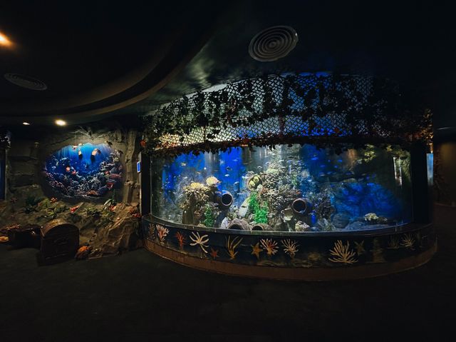 ท่องเที่ยวกับโลกใต้ท้องทะเล Underwater World ญาจาง