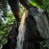 Nature in the park to fascinate yourself